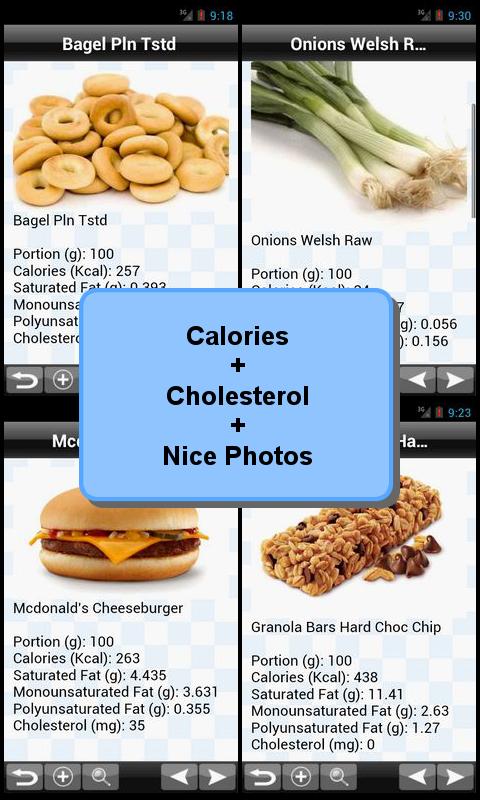 1300 Food Cholesterol List 2.0
