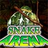 3D Snake Arena 1.50