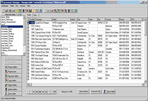 Accuracer Database System 4.03