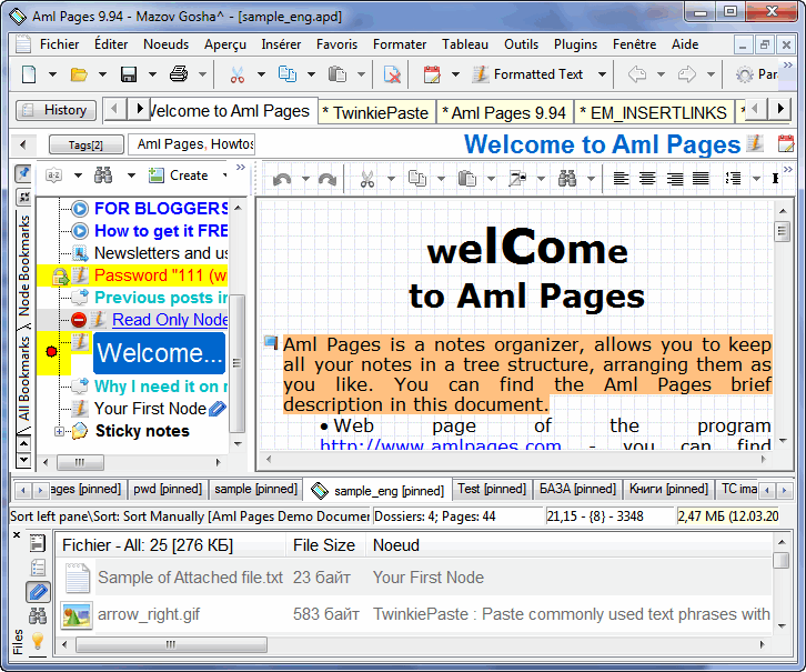 Aml Pages French Version 9.99b2941
