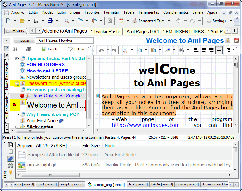 Aml Pages Portuguese Brazilian version 9.97b2902