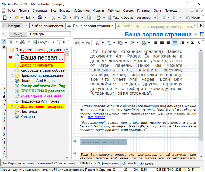 Aml Pages Russian Version 9.99b2942