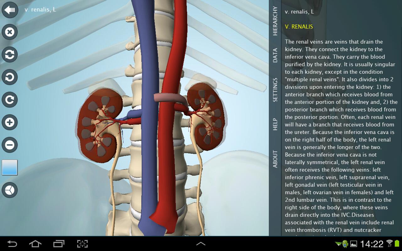 Anatomy 3D Pro - Anatronica 2.07