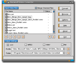 Anewsoft Video Converter 1.0