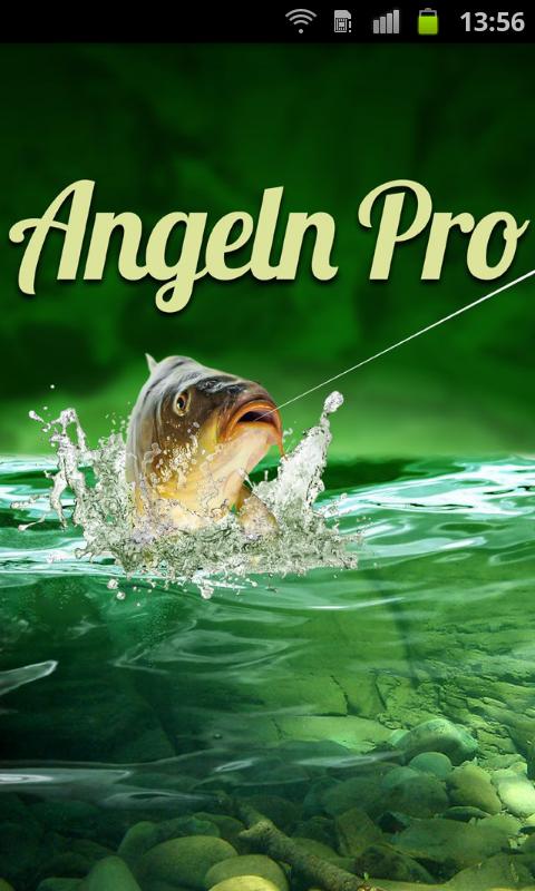 Angeln Pro 1.1