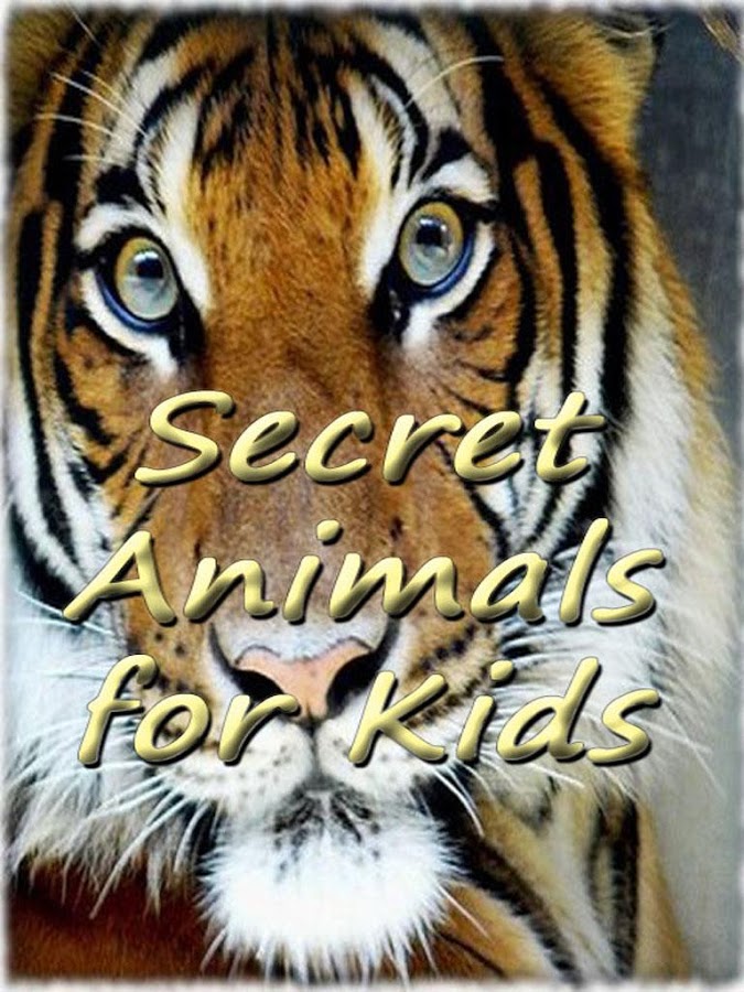Animal world for kids 2.0