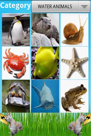 Animals Encyclopedia 1.0.5
