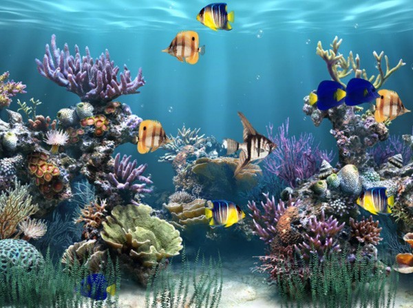 Aquarium Animated Wallpaper 1.1.0
