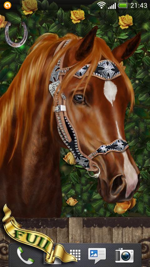 Arabian Horse Wallpaper 1.01
