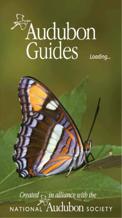 Audubon Butterflies 2.7.0