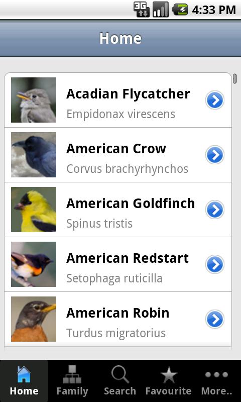 Backyard Birds of America 1.3