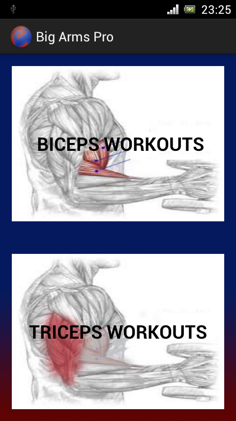 Big Arm Biceps Home Workouts 1.0