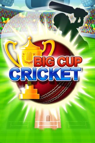 Big Cup Cricket Premium 1.4.0