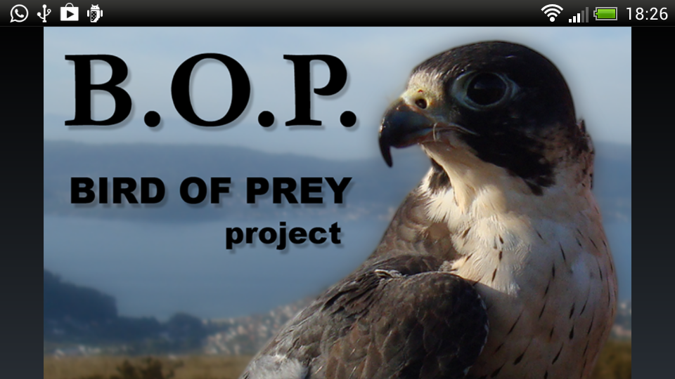 Bird of Prey 1.0