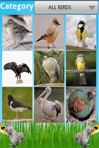 Birds Encyclopedia 1.0.4