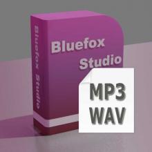 Bluefox MP3 WAV converter 2.0.0805