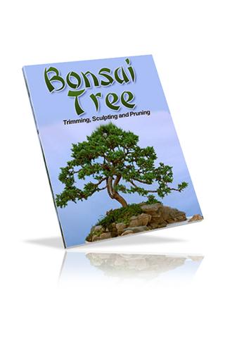Bonsai Tree 1.0