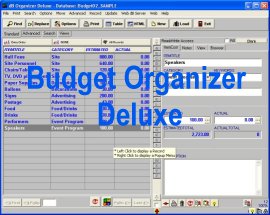 Budget Organizer Deluxe 3.9