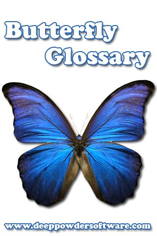 Butterfly Glossary 1.0