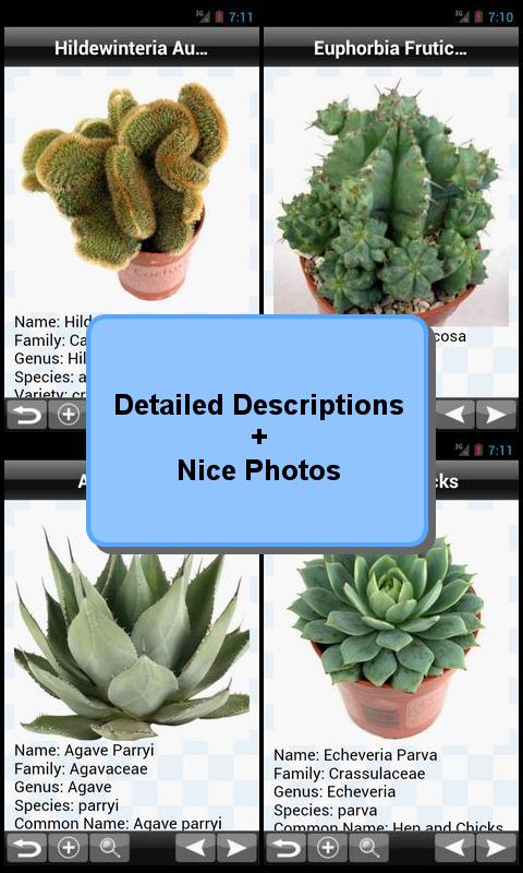 Cactus Plant Encyclopedia 2.1