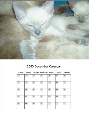 Calendar Designer to design your own calendars with your graphics, make free calendars too! 2.0