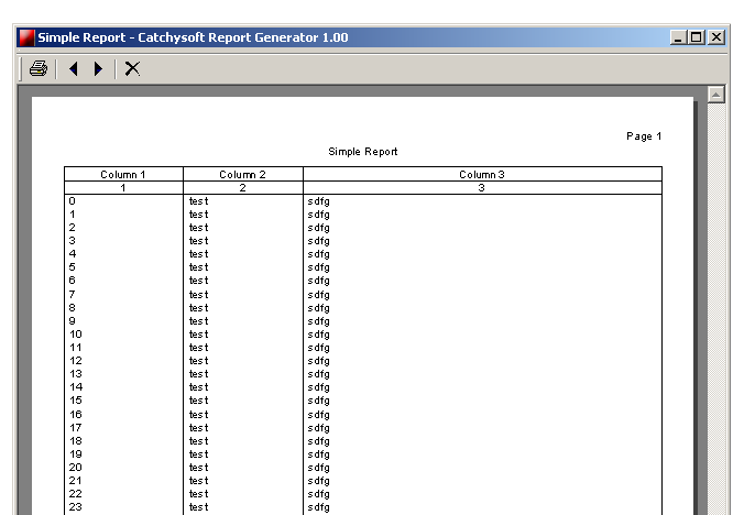 Catchysoft Report Generator 1.00.03