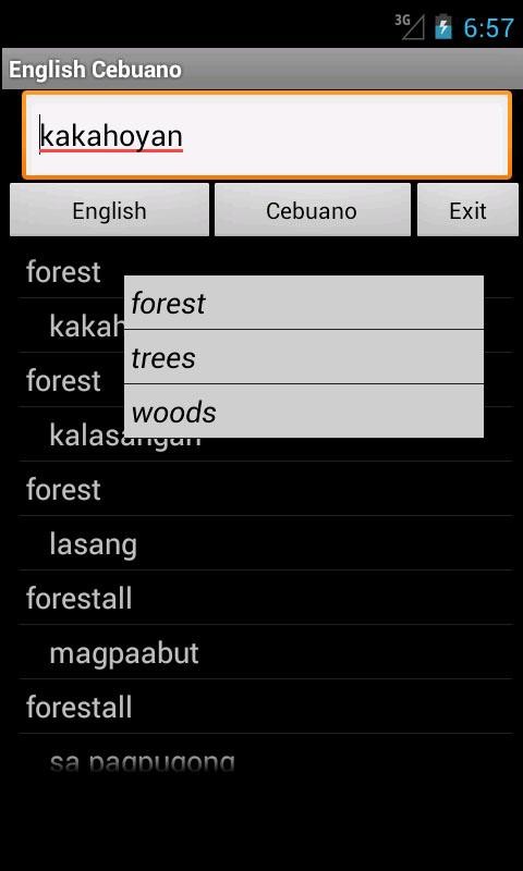 Cebuano English Dictionary 6.4
