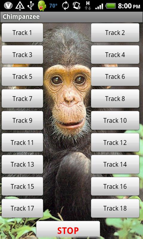 Chimp Sound Effects 1.0