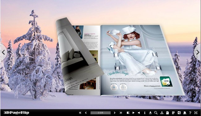 Cold Theme for 3D Page Flip Book 1.0