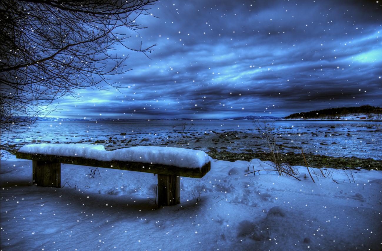 Cold Winter Animated Wallpaper 1.0