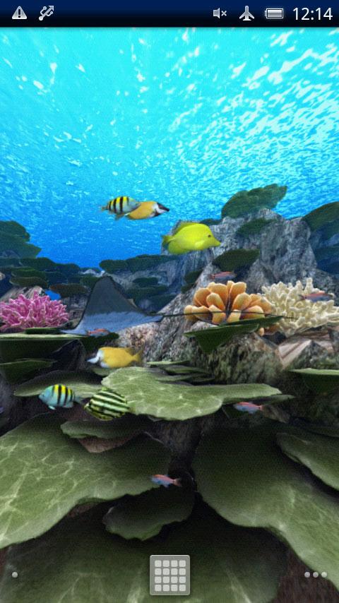 Coral Reef of Kerama 1.0.2