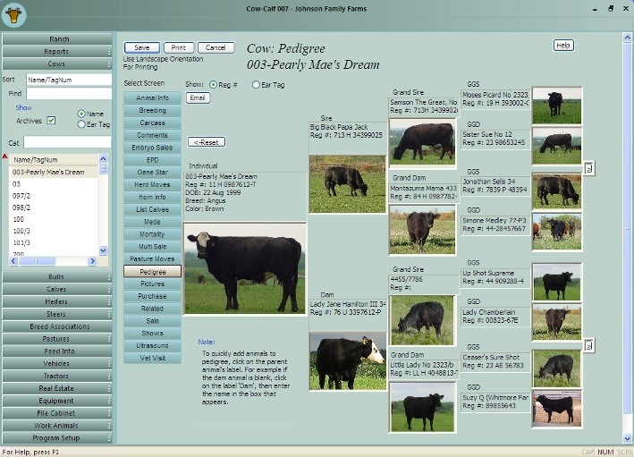 Cow-Calf Manager 007 8.64