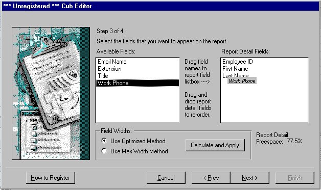 Cub Editor for MS Access 2.7