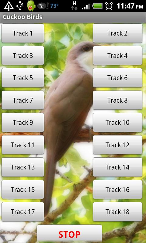 Cuckoo Birds Sound Effects 1.0