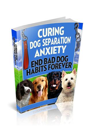 Curing Dog Separation Anxiety 1.0