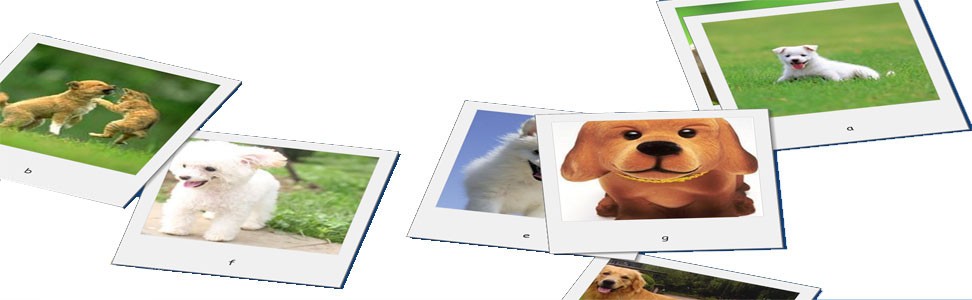 Desktop Dog Screensaver 1.3
