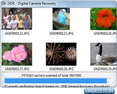 Digital Camera Undelete 5.3.1.2