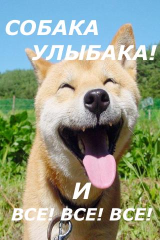 Dog Ulybaka 1.0