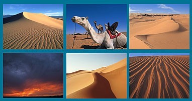Dune and Desert 1.0