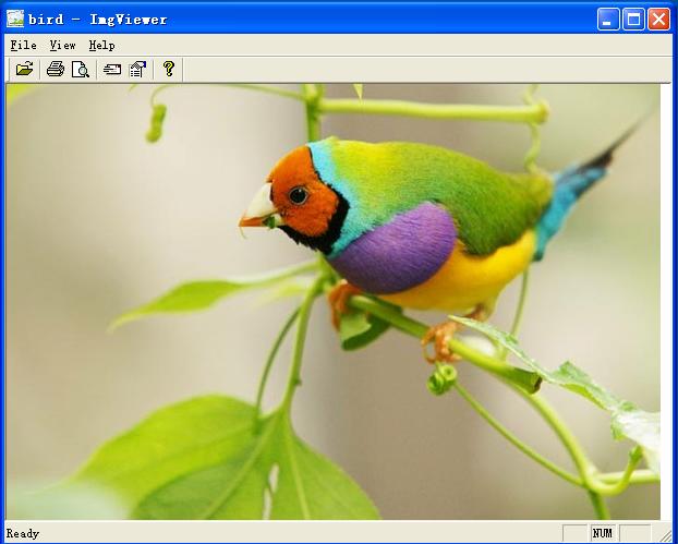 Easy Image Viewer 1.5