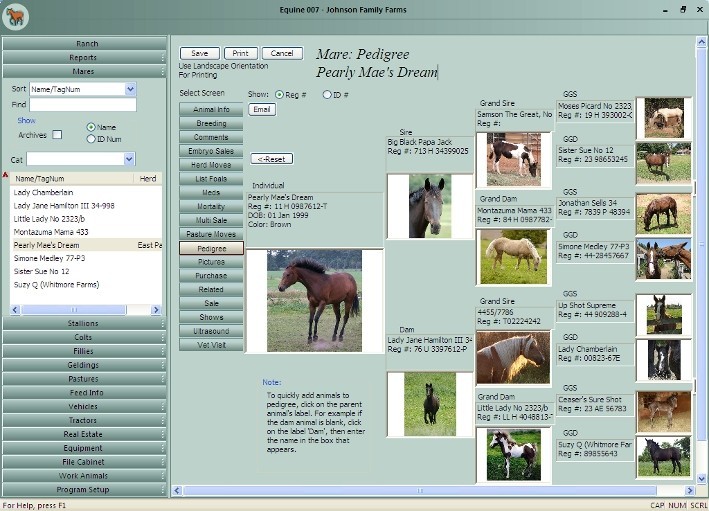 Equine Manager 007 8.53