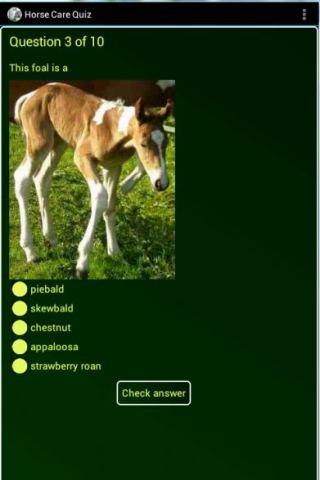 Essential Horse Care Quiz 1.0