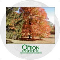 Fall Scenes from The Option Institute 1.1