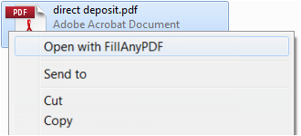 FillAnyPdf Desktop Companion 1.0