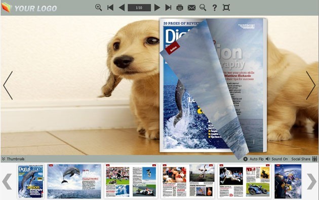 Flash Magazine Themes in Cute Dog Style 1.0