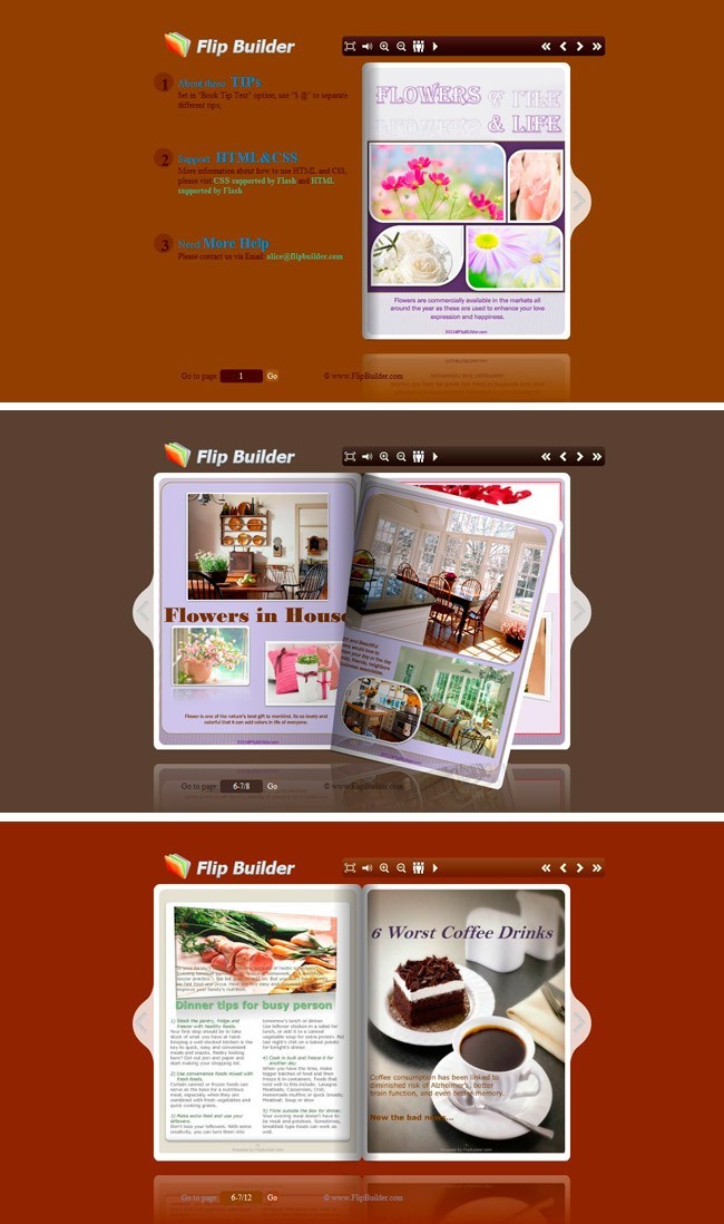 Flip_Themes_Package_Conciseness_Brown 1.0