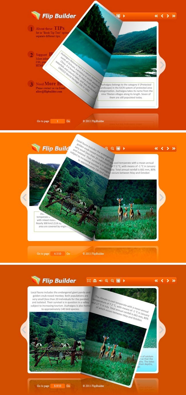 Flip_Themes_Package_Conciseness_Orange 1.0