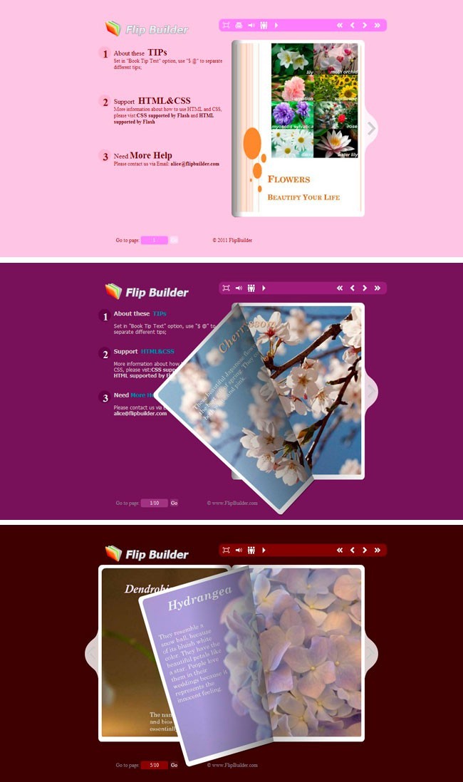 Flip_Themes_Package_Conciseness_Red 1.0