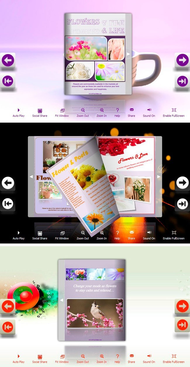 Flip_Themes_Package_Lively_Warm 1.0