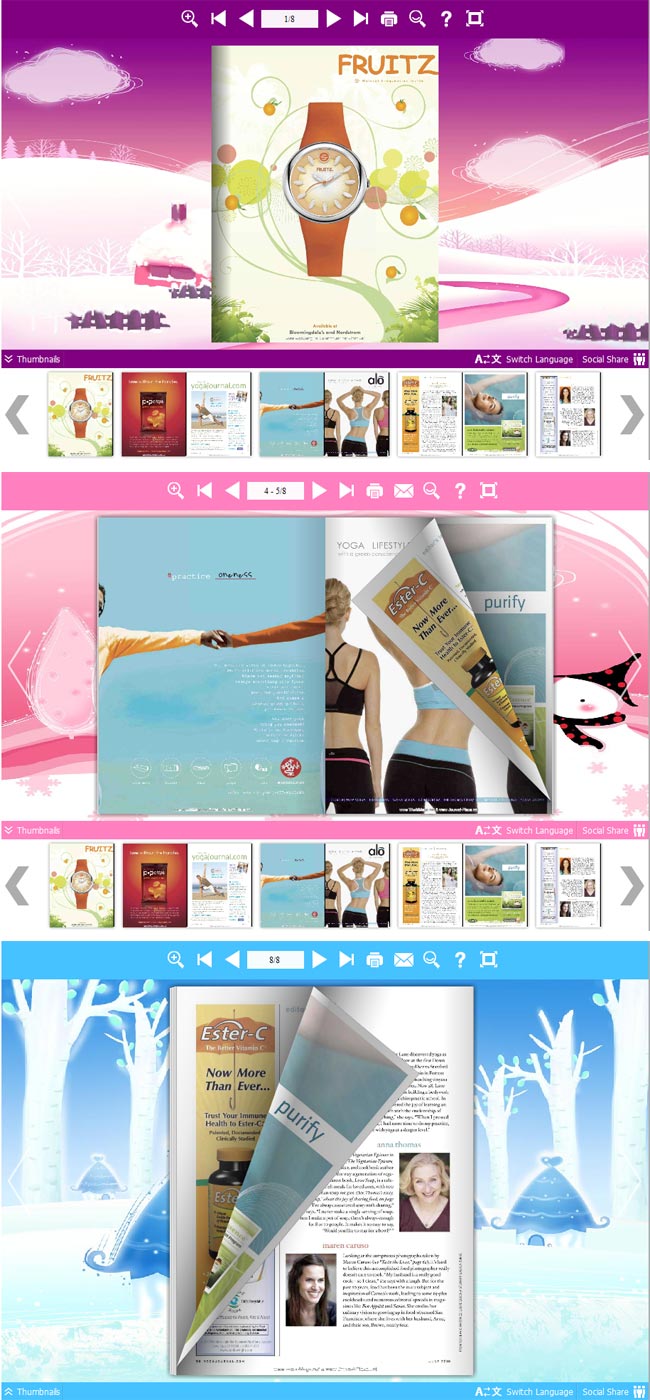 Flipbook_Themes_Package_Neat_Winter 1.0